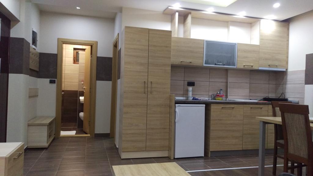 Apartment Ana 科帕奥尼克 外观 照片